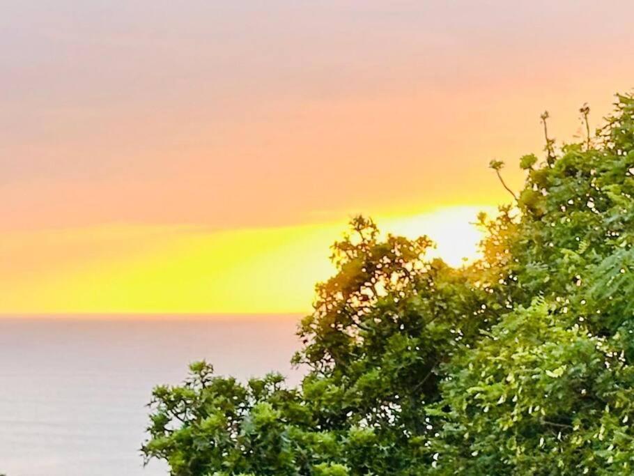 Апартаменты Sea View Sun Centre Плеттенберг-Бей Экстерьер фото